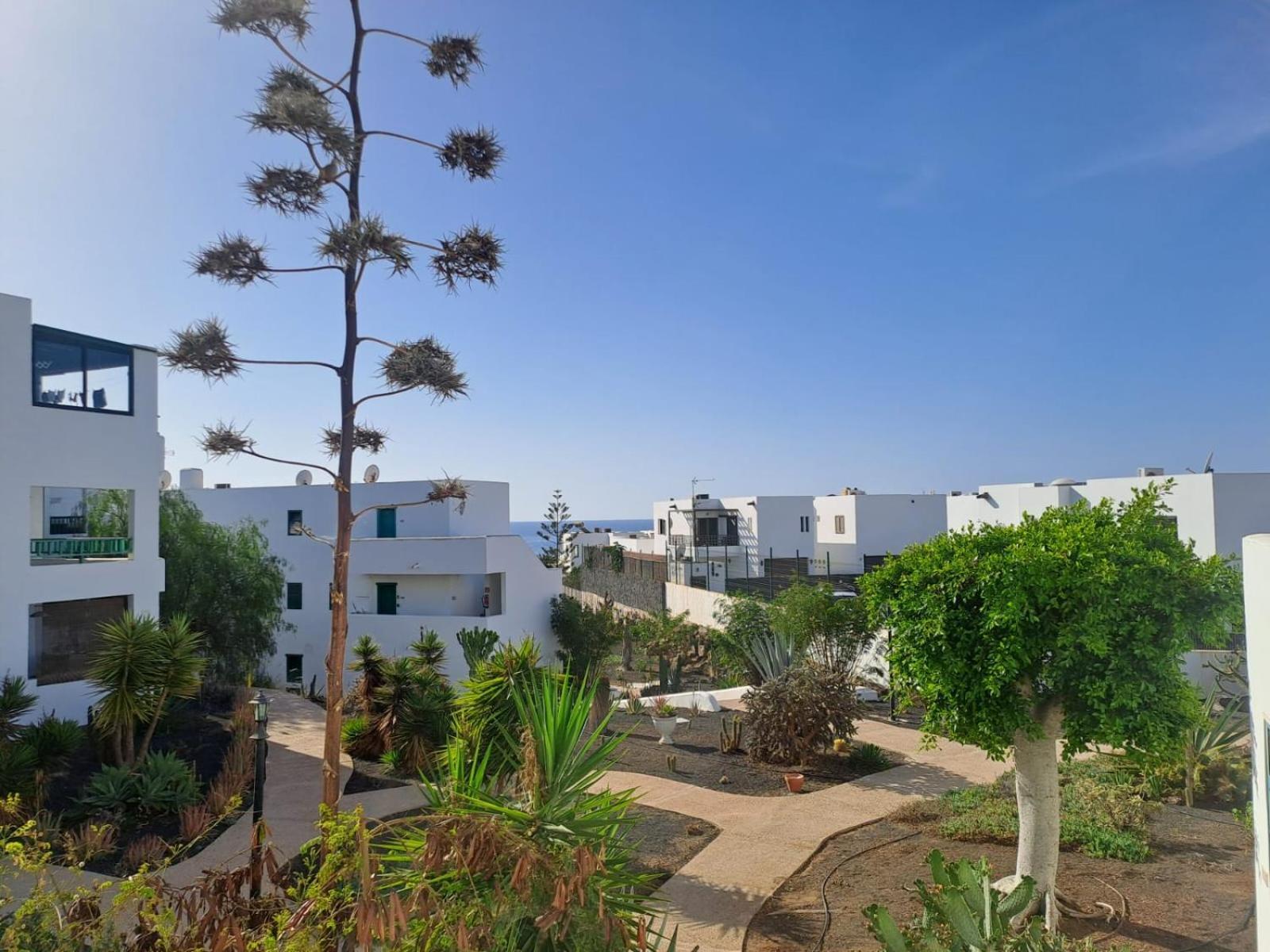Azul Tuscan Playa Y Piscina 코스타 테기세 외부 사진