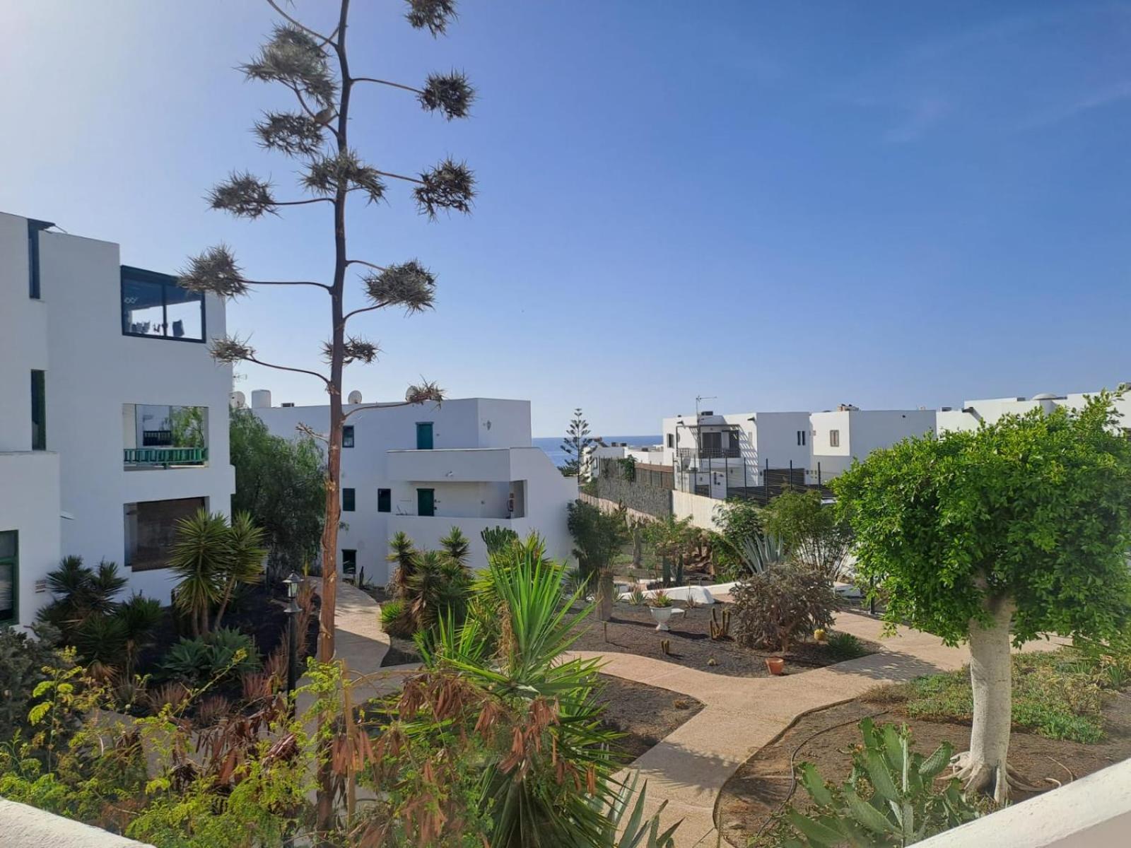 Azul Tuscan Playa Y Piscina 코스타 테기세 외부 사진